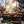 Load image into Gallery viewer, Sportsman's Pro Portable Cast Iron Charcoal Grill + A5-1 Starter Container LODGE Sportsman's Grill