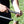 Load image into Gallery viewer, Outdoor Cooking Table
